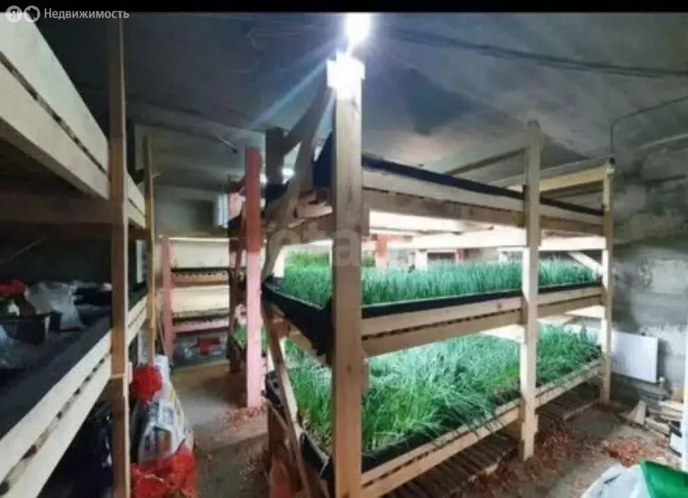 Помещение свободного назначения (47 м) - Фото 2