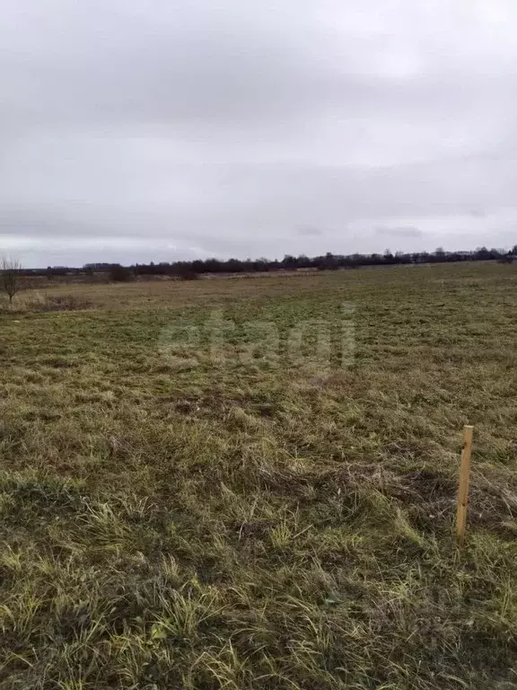 Участок в Вологодская область, пос. Дубровское пер. Промышленный (30.0 ... - Фото 2