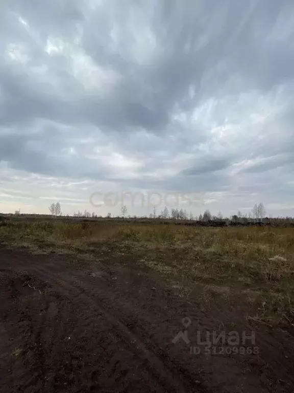 Участок в Тюменская область, Тюмень Садовое товарищество Липовый ... - Фото 1