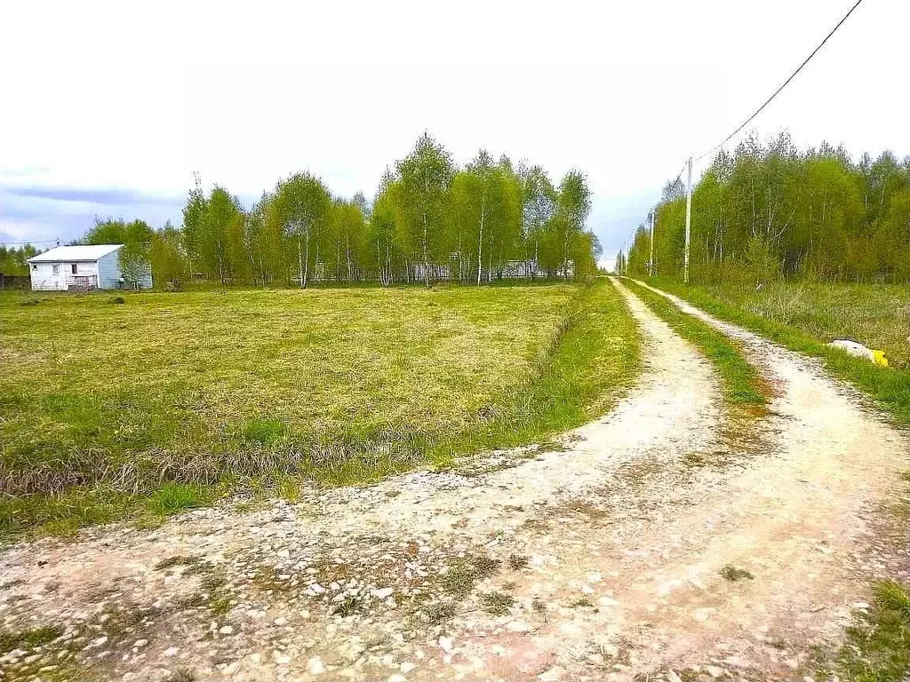 Участок в Московская область, Серпухов городской округ, Лисенки-2 тер. ... - Фото 0