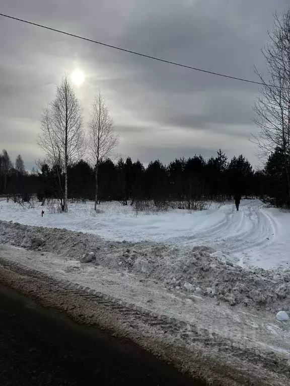 Участок в Псковская область, Печорский муниципальный округ, д. ... - Фото 2