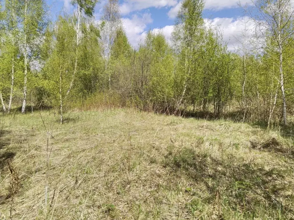 Участок в Московская область, Орехово-Зуевский городской округ, пос. ... - Фото 1