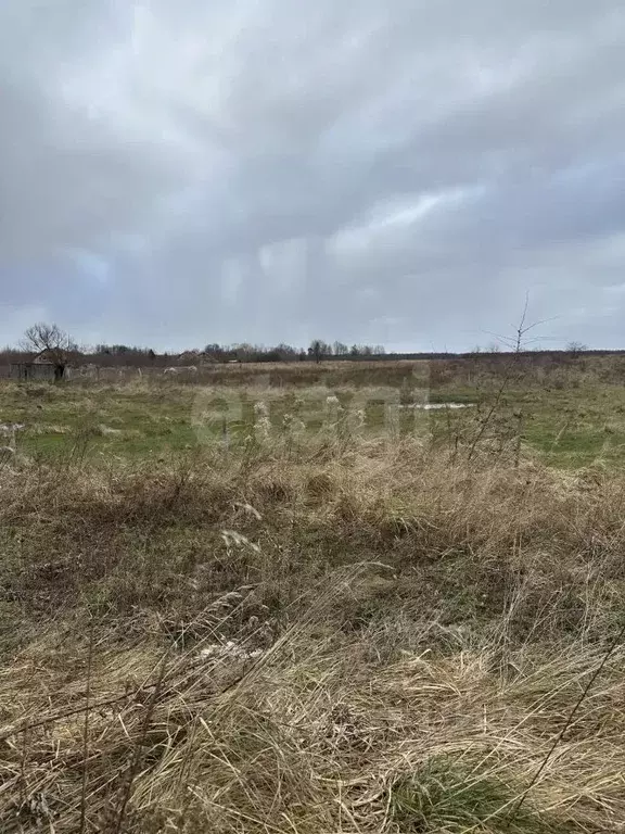 Участок в Калининградская область, Гвардейский муниципальный округ, ... - Фото 2
