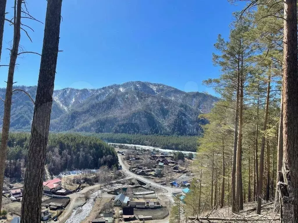 Село Узнезя Чемальский район Алтай