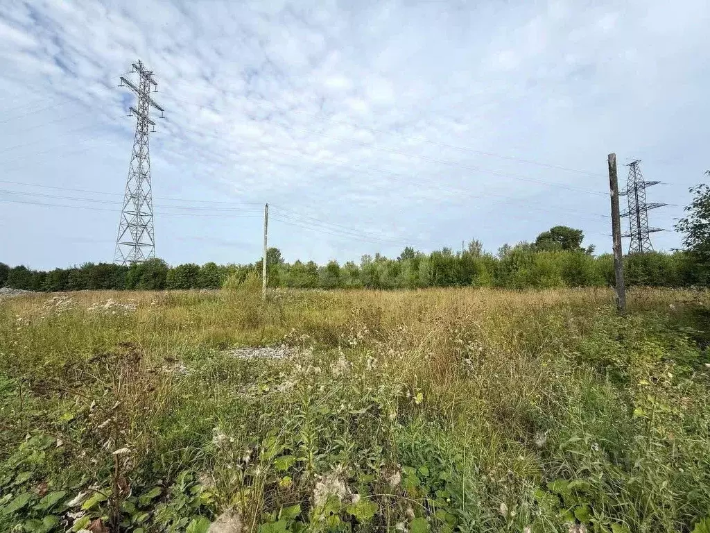 Участок в Вологодская область, Великий Устюг  (200.0 сот.) - Фото 1