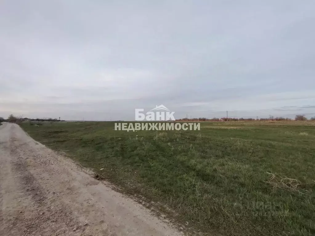 Участок в Саратовская область, Балаковский район, Натальинское ... - Фото 1