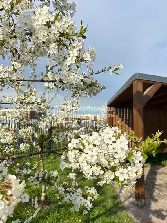 1-к кв. Ленинградская область, Ломоносовский район, Аннинское ... - Фото 1