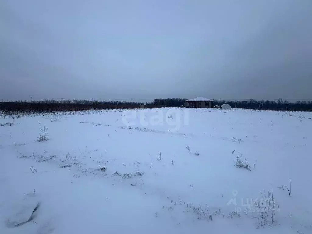 Участок в Курская область, Курск ул. Медовая (10.0 сот.) - Фото 1