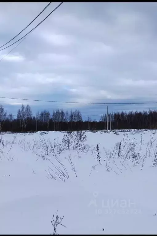 Участок в Костромская область, Кострома Первый кп, проезд Даниловский, ... - Фото 1