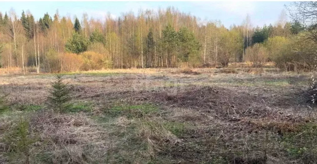 Участок в Сахалинская область, Долинский городской округ, с. Сокол  ... - Фото 0