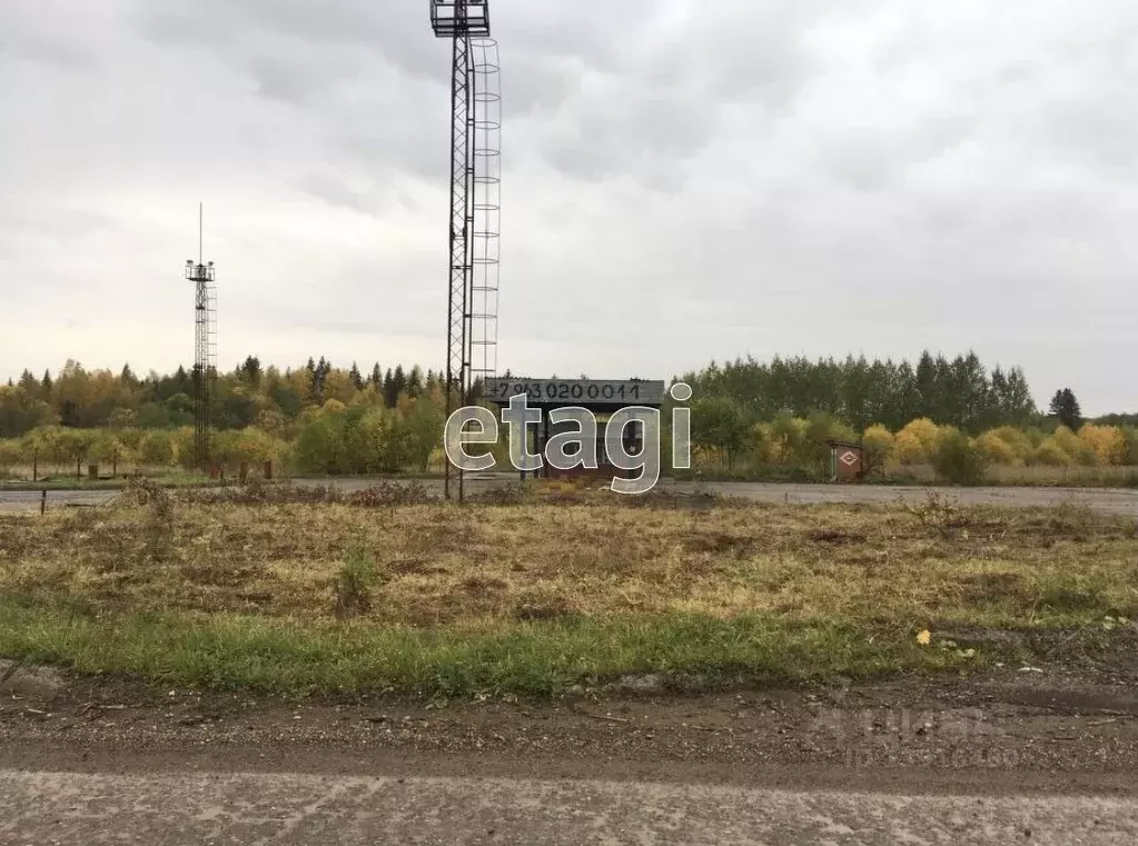 Участок в Пермский край, Чусовской городской округ, д. Никифорово  ... - Фото 0