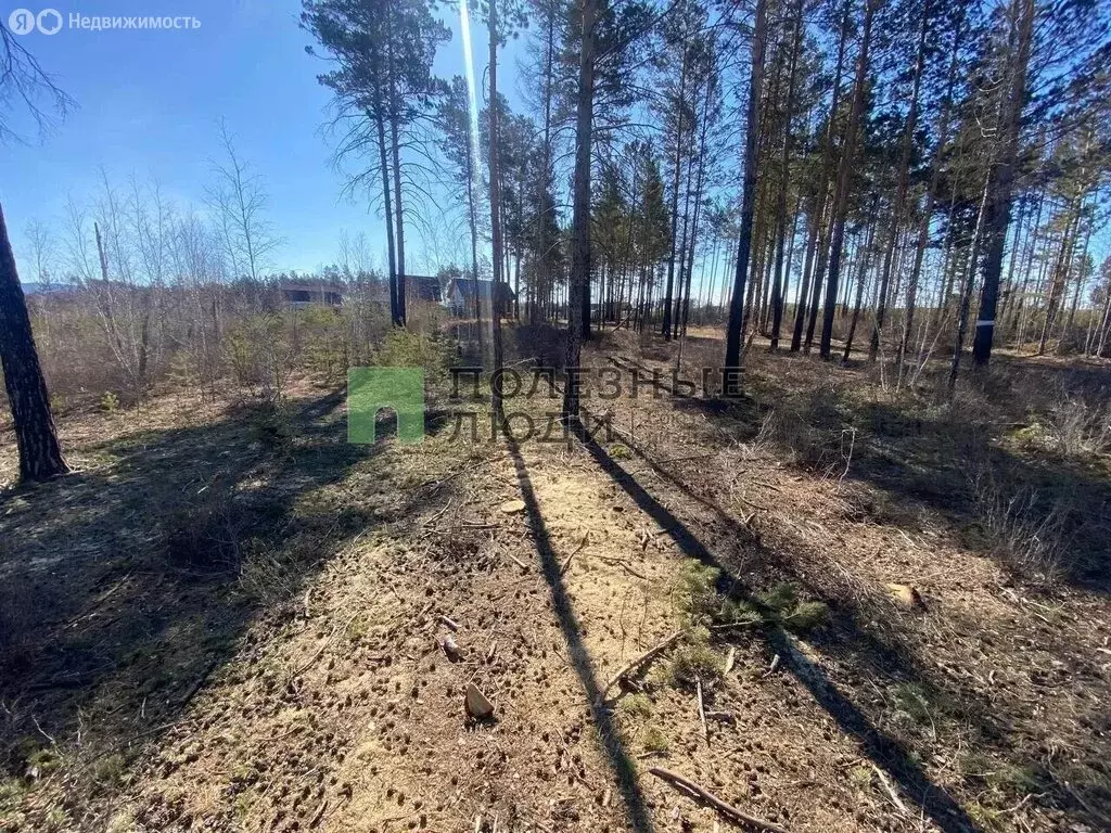 Участок в Забайкальский край, Читинский муниципальный округ, село ... - Фото 1