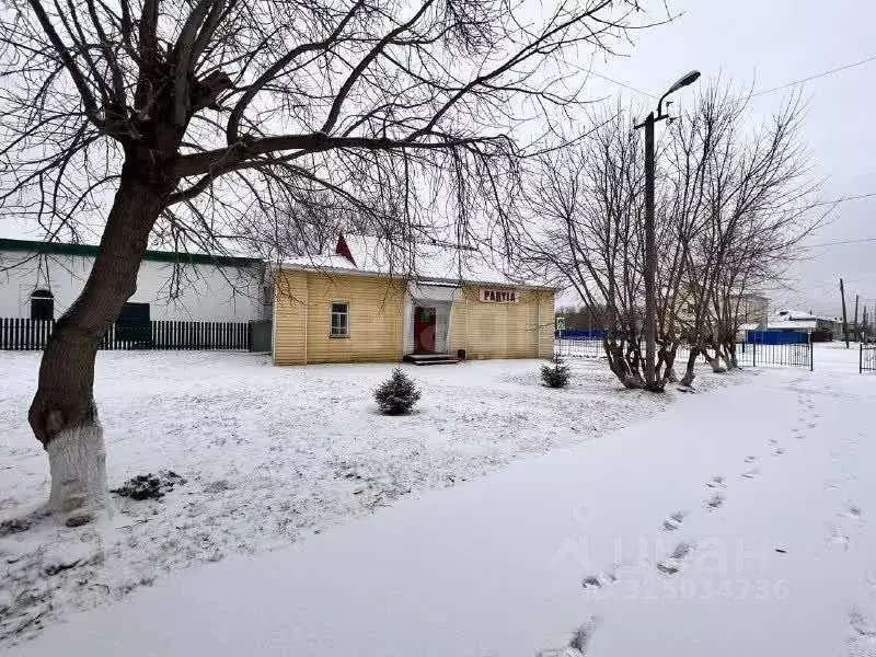 Торговая площадь в Курганская область, с. Белозерское ул. Карла ... - Фото 1