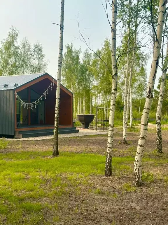 Дом в Московская область, Орехово-Зуевский городской округ, Песчаная ... - Фото 1