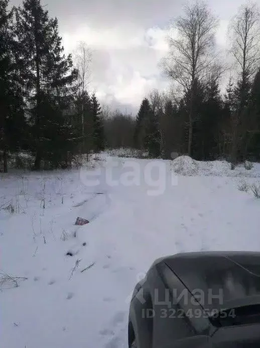 Участок в Вологодская область, Шограш садоводческое товарищество  (6.0 ... - Фото 2