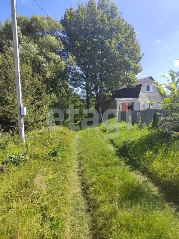 Дом в Брянская область, Фокино Строитель-2 садовые участки, 179 (60 м) - Фото 0