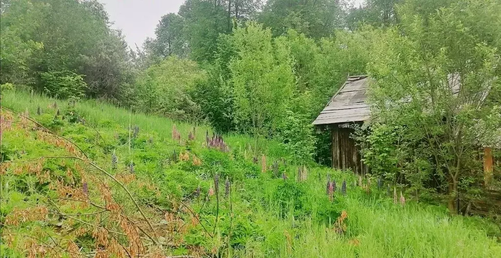 Участок в Пермский край, Пермь Ягодка СНТ, 47 (6.0 сот.) - Фото 1