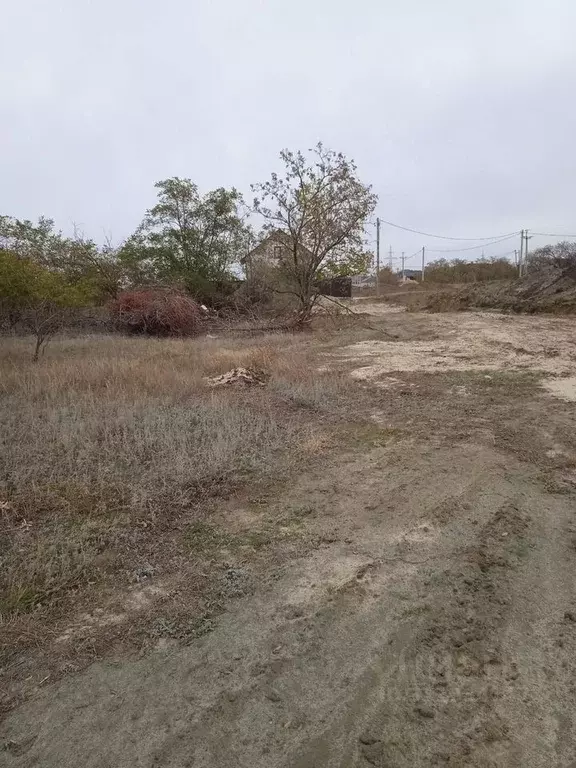 Участок в Волгоградская область, Волгоград Васильковая ул., 4 (6.0 ... - Фото 1