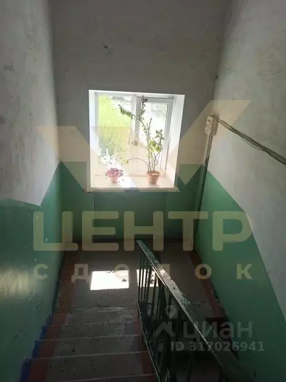 3-к кв. Алтайский край, Рубцовск Рубцовский просп., 46 (59.0 м) - Фото 1