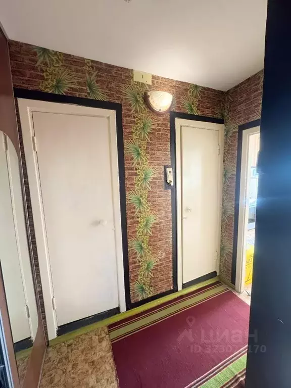 1-к кв. Челябинская область, Челябинск Прокатная ул., 20 (32.1 м) - Фото 2