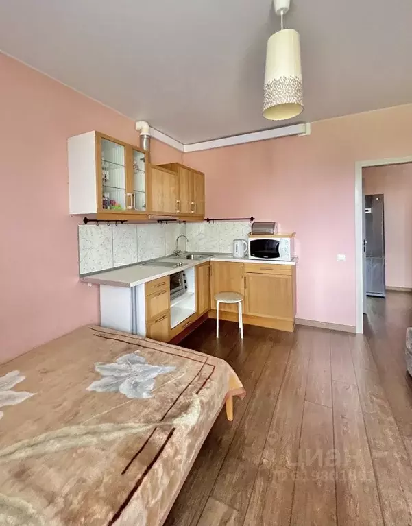 Студия Новосибирская область, Новосибирск Приморская ул., 24 (26.3 м) - Фото 0