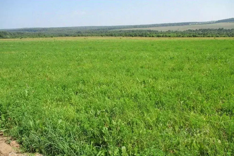 Купить Дом В Станице Владимирской Лабинского