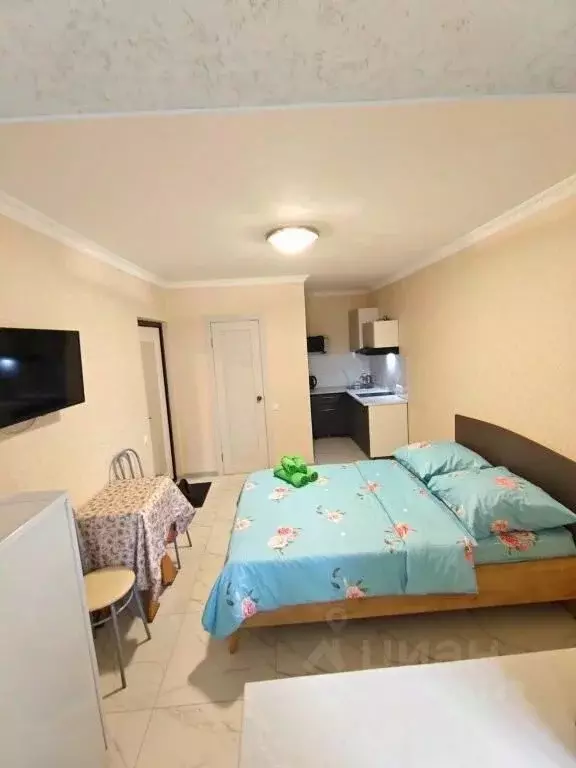 1-к кв. Московская область, Щелково Центральная ул., 17 (32.0 м) - Фото 1