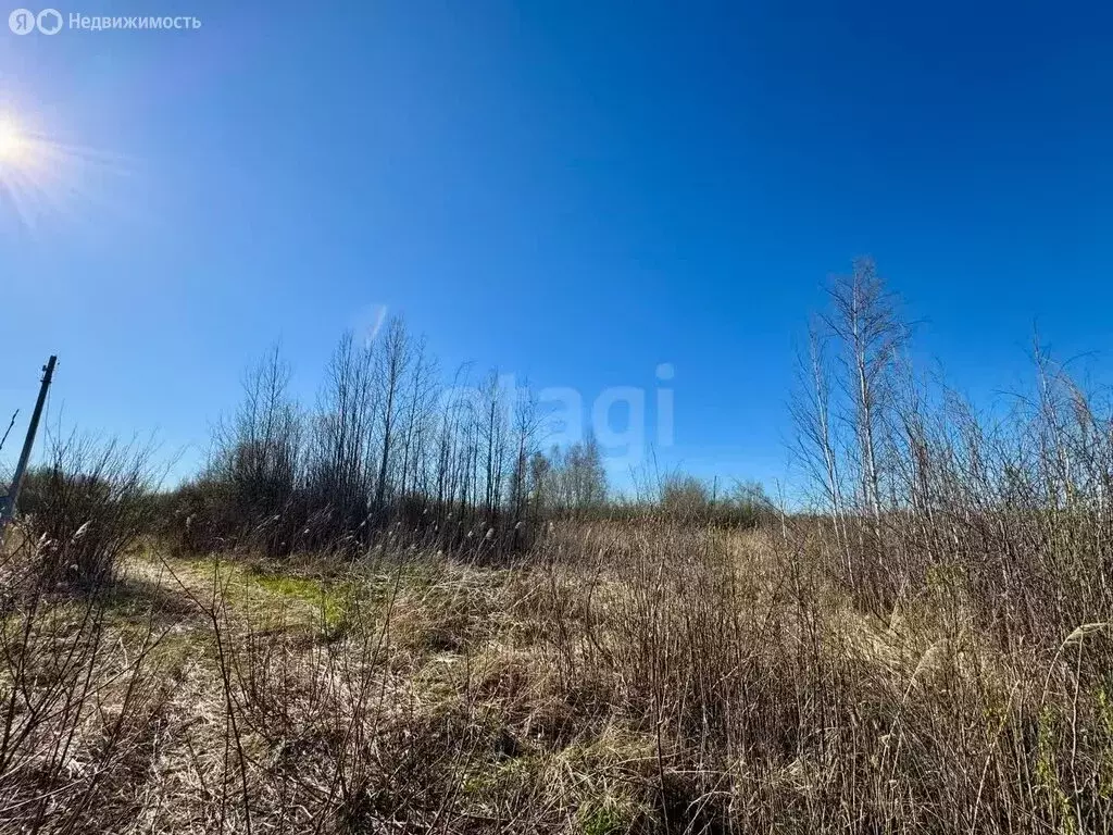 Участок в Нижнетавдинский район, СНТ Сочинские, 38-я линия (10 м) - Фото 1
