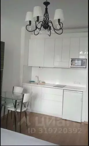 Студия Санкт-Петербург ул. Адмирала Черокова, 20Б (29.0 м) - Фото 1