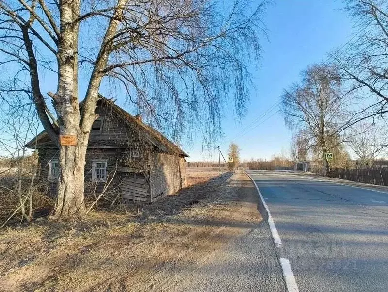 Участок в Ленинградская область, Тихвинский район, Цвылевское с/пос, ... - Фото 2