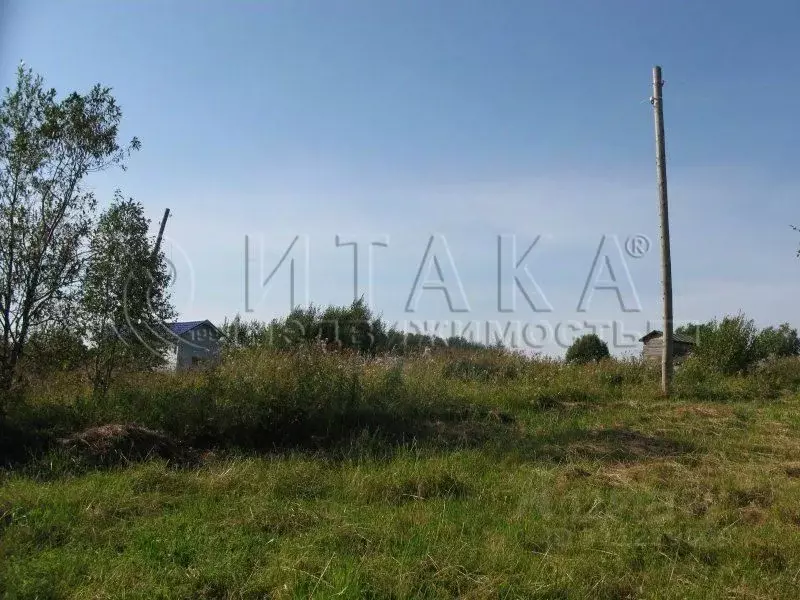 Участок в Ленинградская область, Лодейнопольский район, Алеховщинское ... - Фото 0