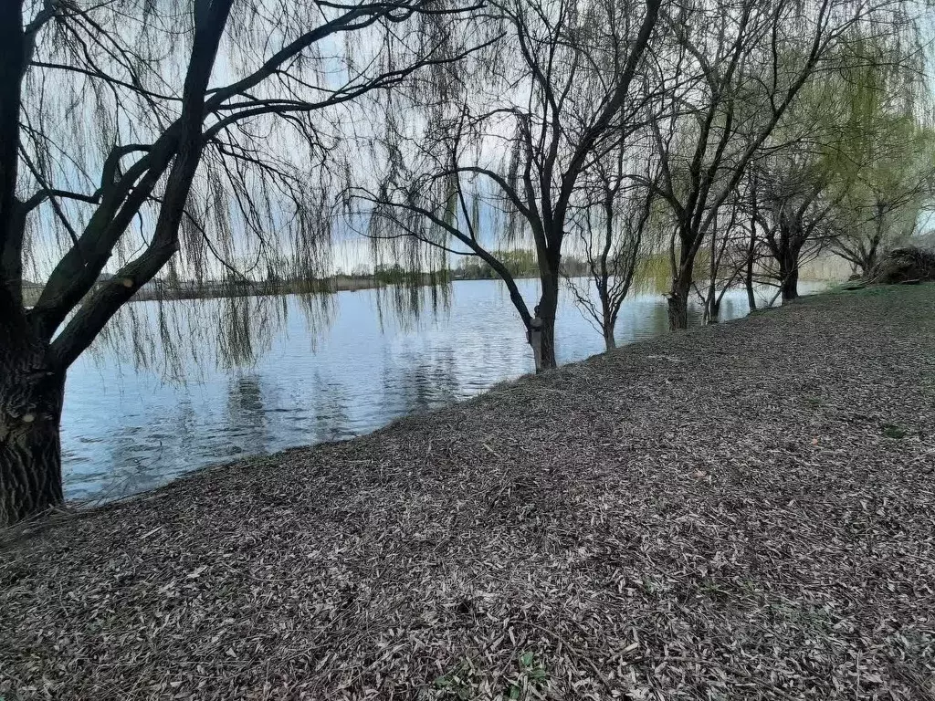 Участок в Краснодарский край, Динской район, с. Красносельское ул. ... - Фото 1