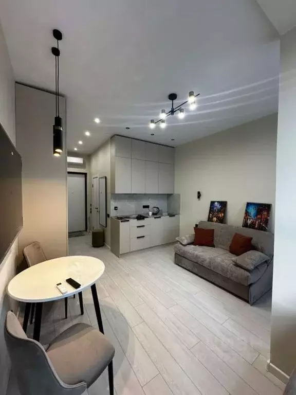 Студия Москва просп. Прокшинский, 7 (23.0 м) - Фото 2