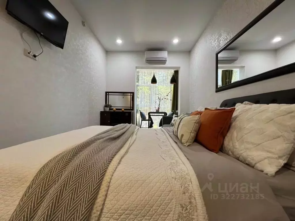 1-к кв. Краснодарский край, Сочи Светлана мкр, ул. Депутатская, 9 ... - Фото 2