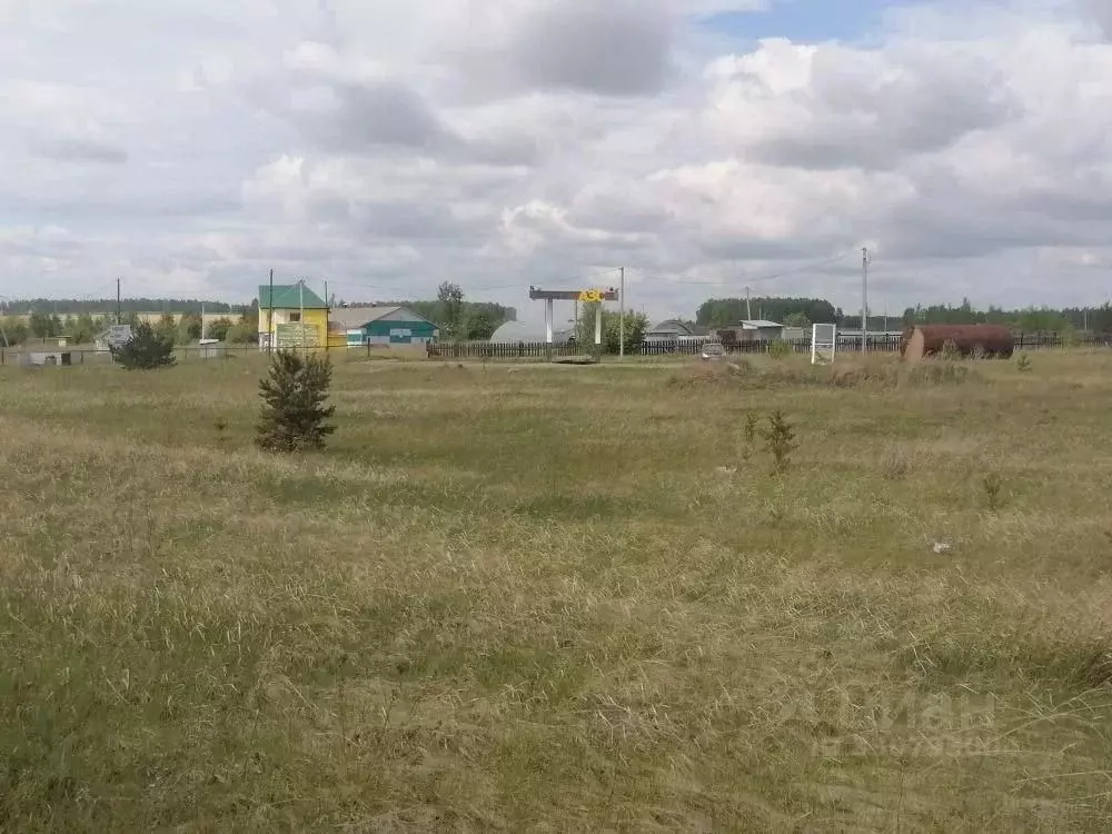 Участок в Иркутская область, Черемховский район, Новогромовское ... - Фото 1