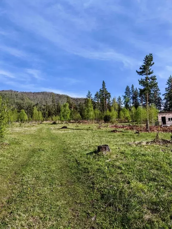 Участок в Алтай, Чемальский район, Узнезинское с/пос, с. Узнезя  ... - Фото 1