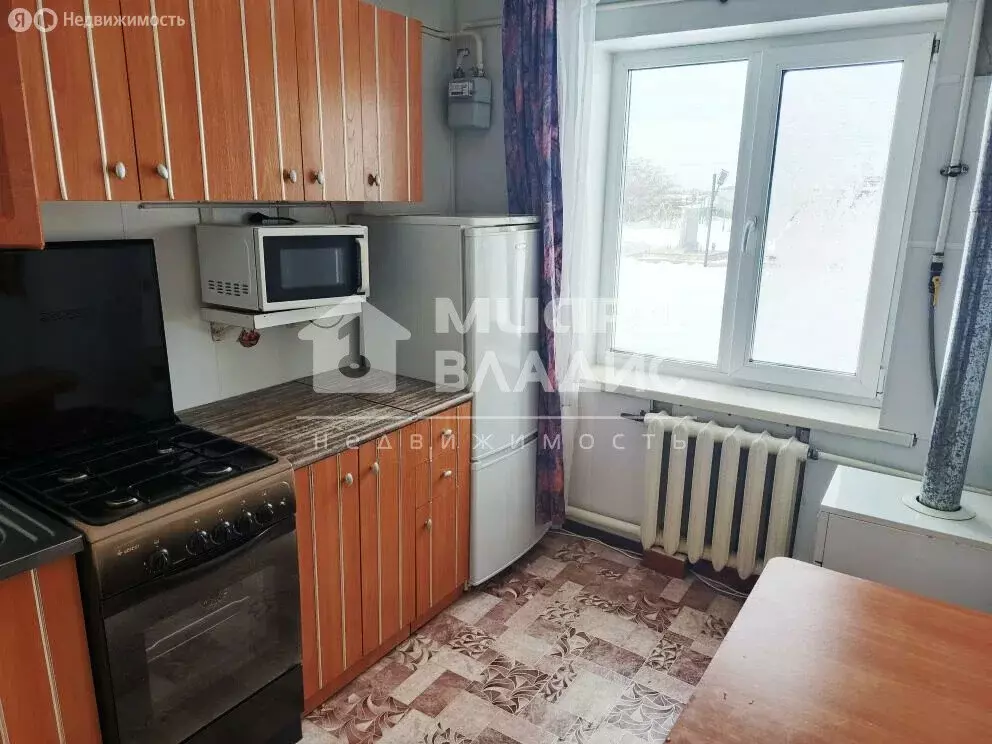 1-комнатная квартира: село Протопоповка, Центральная улица, 35 (30.7 ... - Фото 2