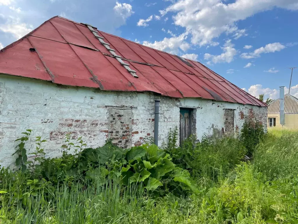 Купить Дом В Рамони Воронежской Области Пчельники