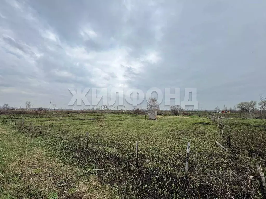 Участок в Новосибирская область, Новосибирский район, с. Криводановка ... - Фото 0
