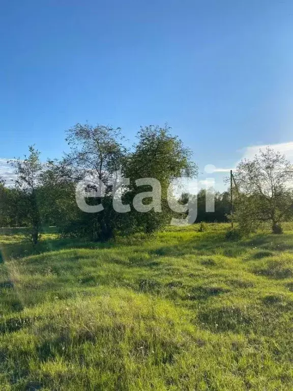 участок в красноярский край, березовский район, есаульский сельсовет, . - Фото 1