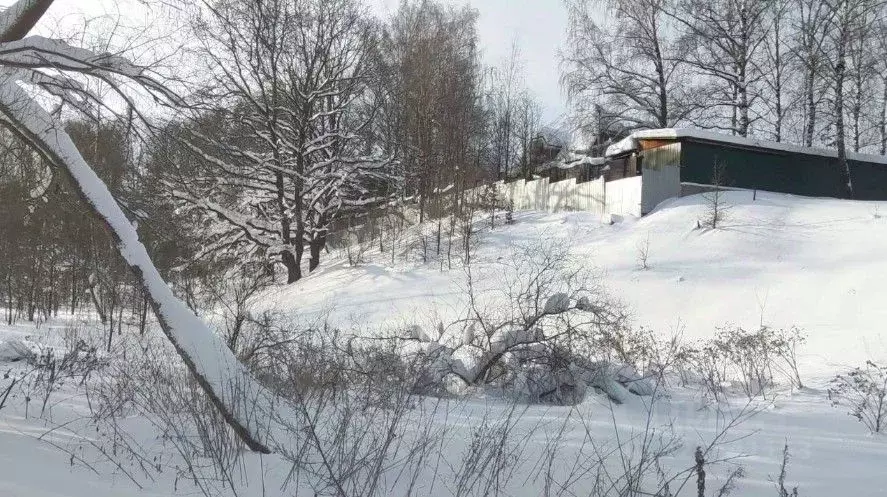 Участок в Московская область, Раменский муниципальный округ, д. Малое ... - Фото 1