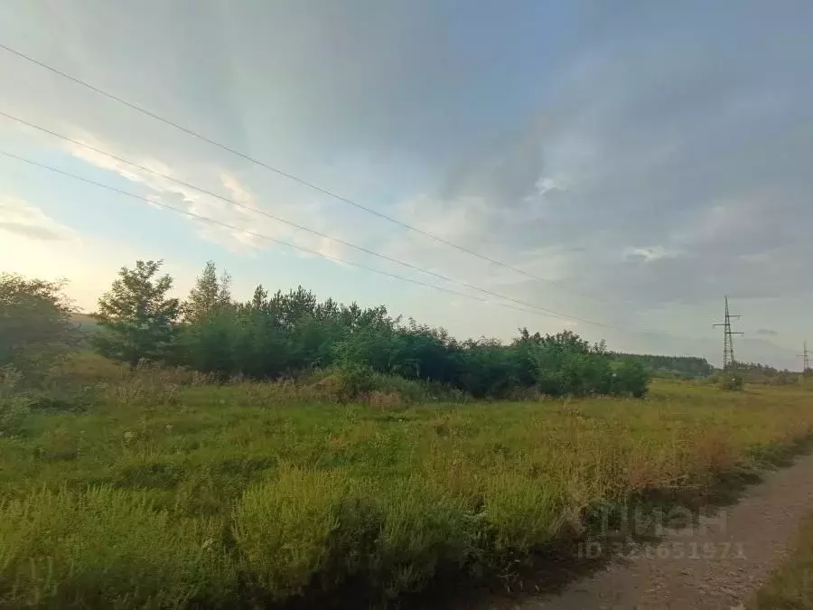Участок в Воронежская область, Семилукский район, с. Девица ул. ... - Фото 0