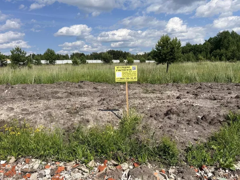 Участок в Московская область, Богородский городской округ, Следово кп ... - Фото 1