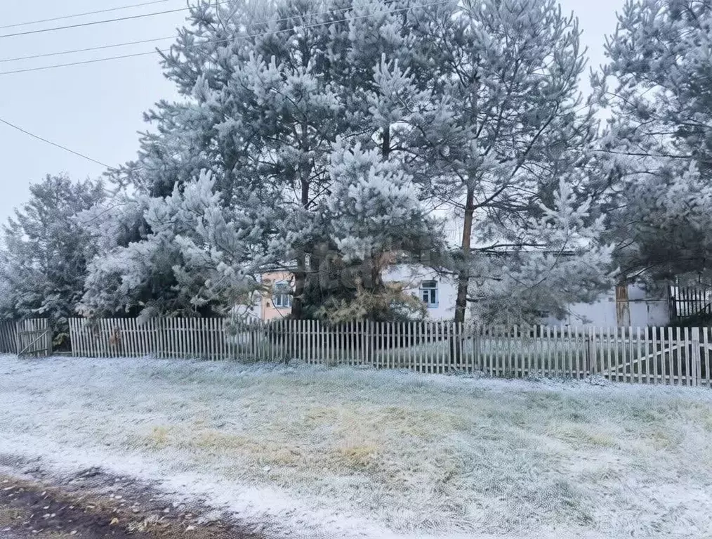 Дом в Тульская область, Киреевский район, Красноярское с/пос, д. ... - Фото 1