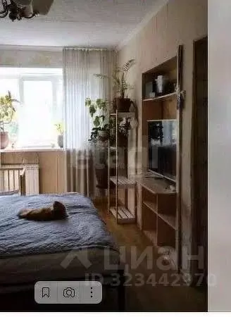 1-к кв. Томская область, Томск ул. Студгородок, 5А (32.5 м) - Фото 1