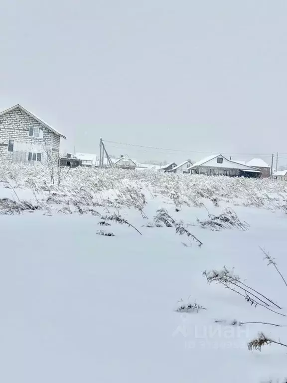 Участок в Алтайский край, Белокуриха ул. Норильская (11.3 сот.) - Фото 1