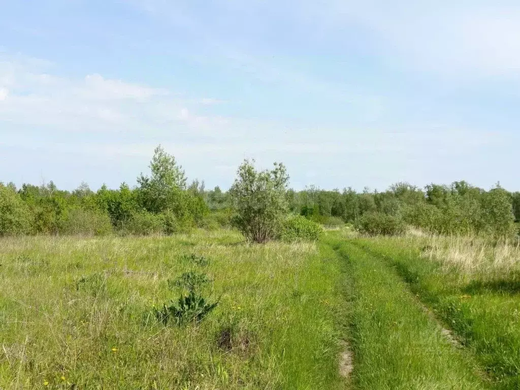 Участок в Тюменская область, Тюменский муниципальный округ, ... - Фото 1