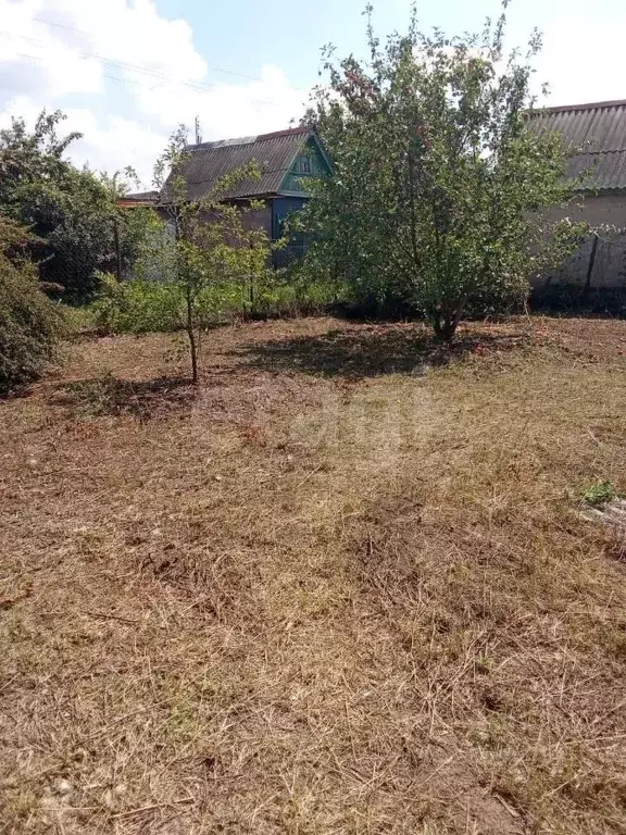 Участок в Оренбургская область, Оренбургский район, Нежинский ... - Фото 1