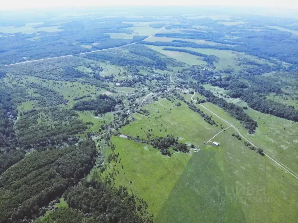 Участок в Калужская область, Тарусский муниципальный округ, Алекино ... - Фото 1
