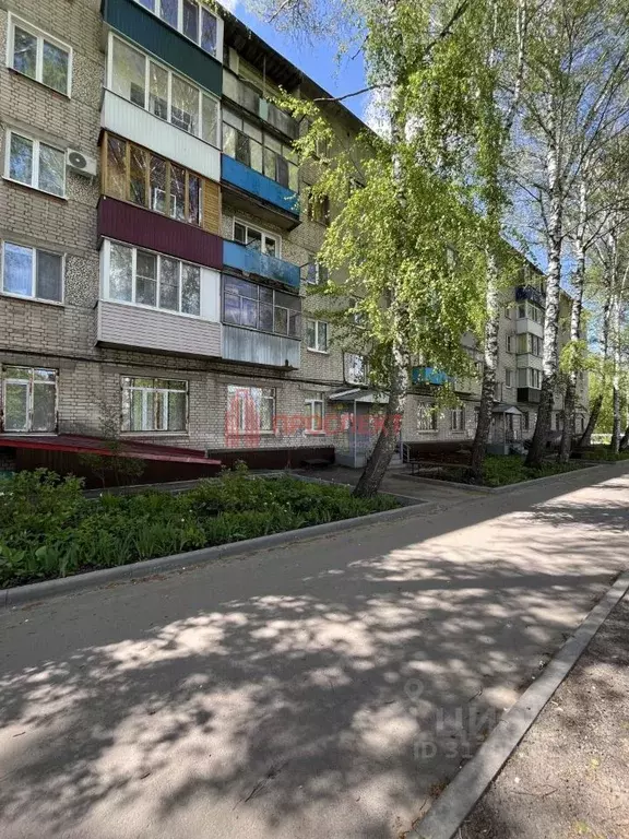 2-к кв. Пензенская область, Пенза Кронштадтская ул., 13 (45.0 м) - Фото 1